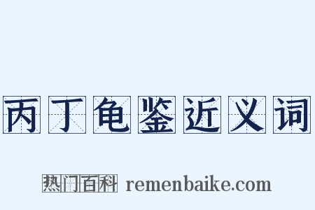 丙丁龟鉴近义词是什么意思的图片